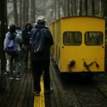 people and vintage train in forest in rain