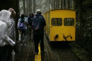 people and vintage train in forest in rain