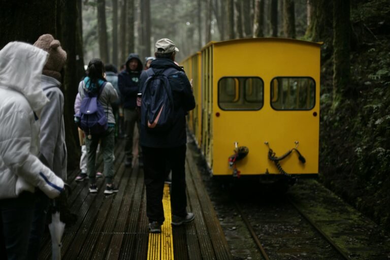 people and vintage train in forest in rain