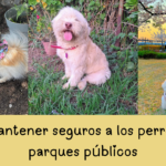 Cómo mantener seguros a los perros en los parques públicos