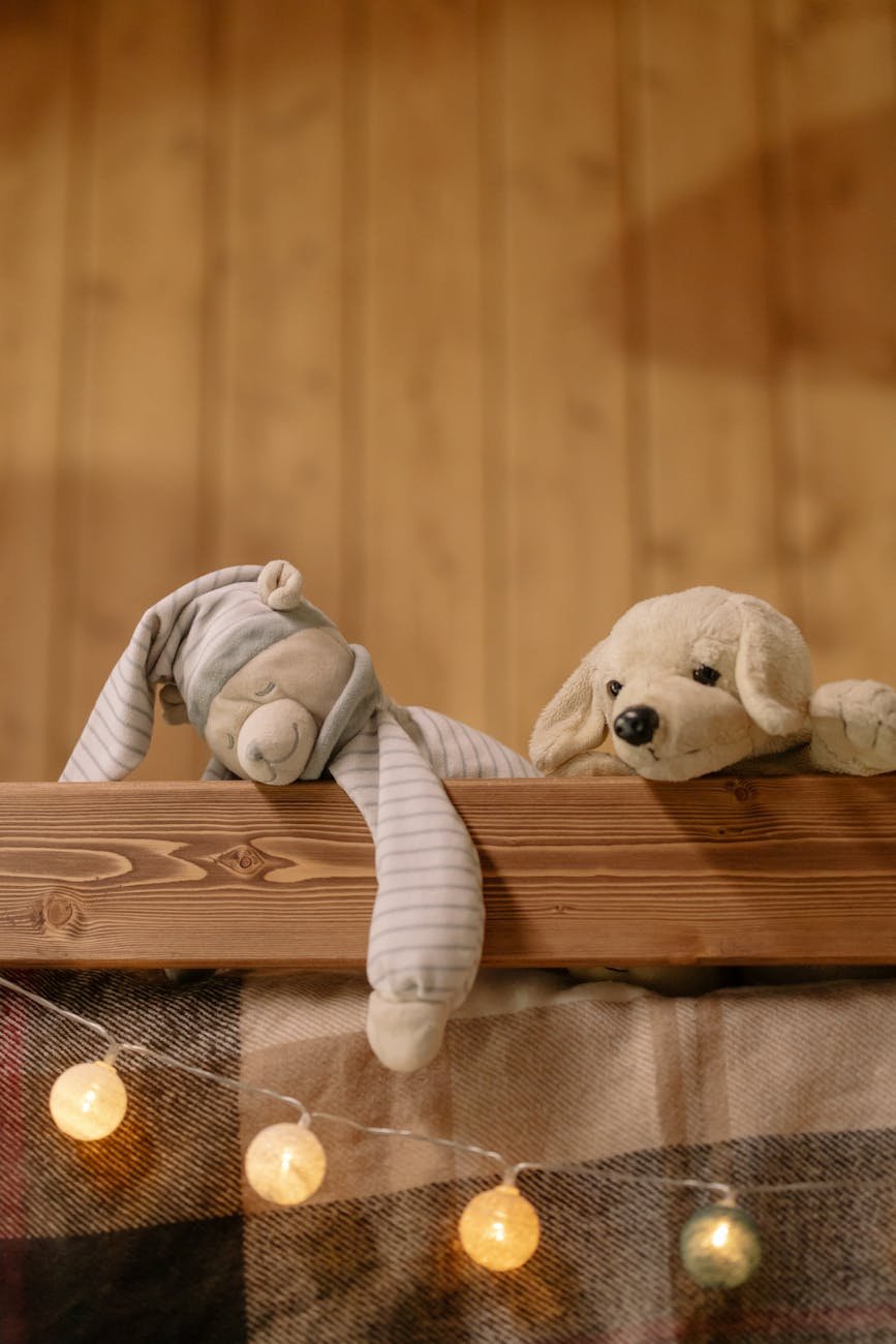 two plush toys on wooden surface